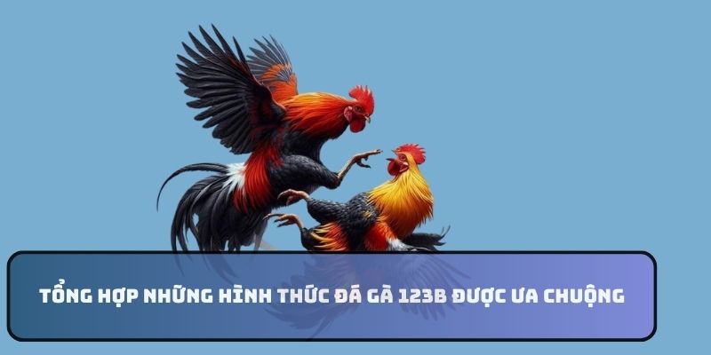 Tổng hợp những hình thức đá gà 123B được ưa chuộng